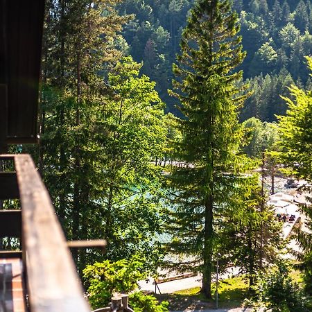 Vila House Moose'T Getaway, Kranjska Gora Exteriér fotografie