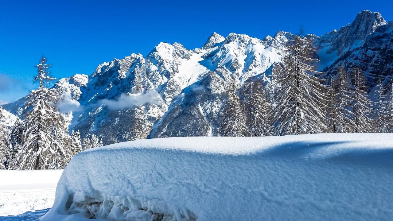 Vila House Moose'T Getaway, Kranjska Gora Exteriér fotografie